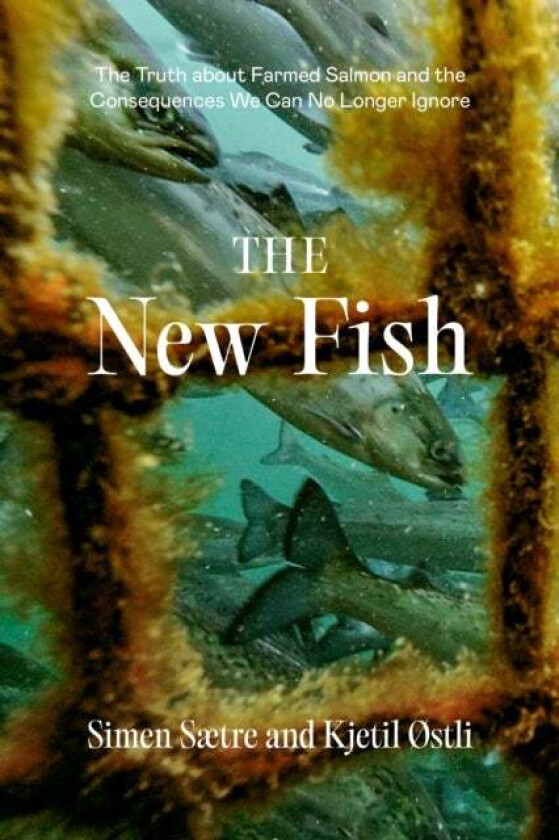 The New Fish av Simen Saetre, Kjetil Ostli