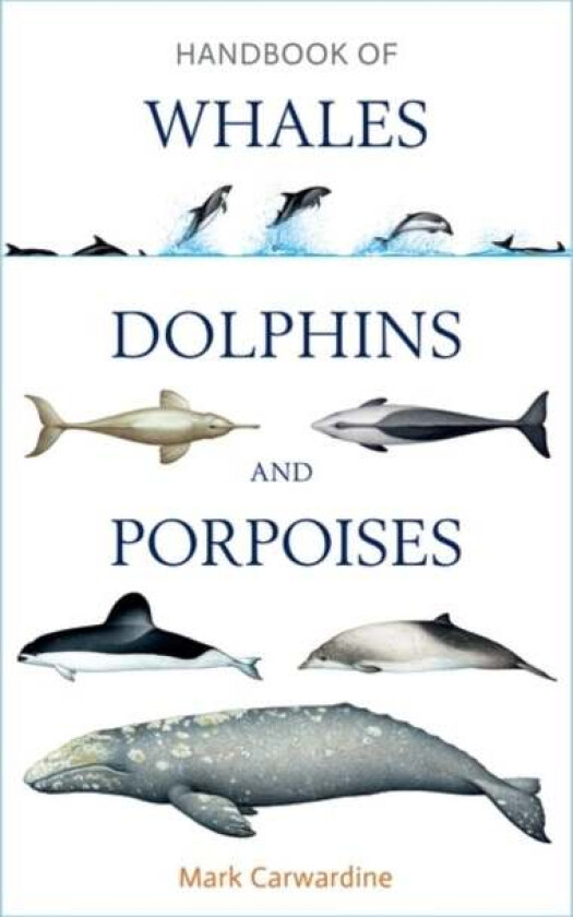 Handbook of Whales, Dolphins and Porpoises av Mark Carwardine