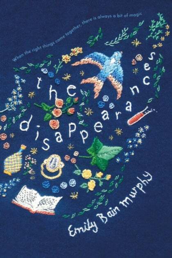 The Disappearances av Emily Bain Murphy