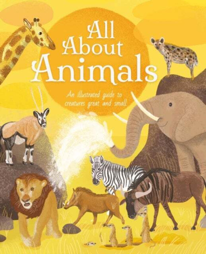 All About Animals av Polly Cheeseman