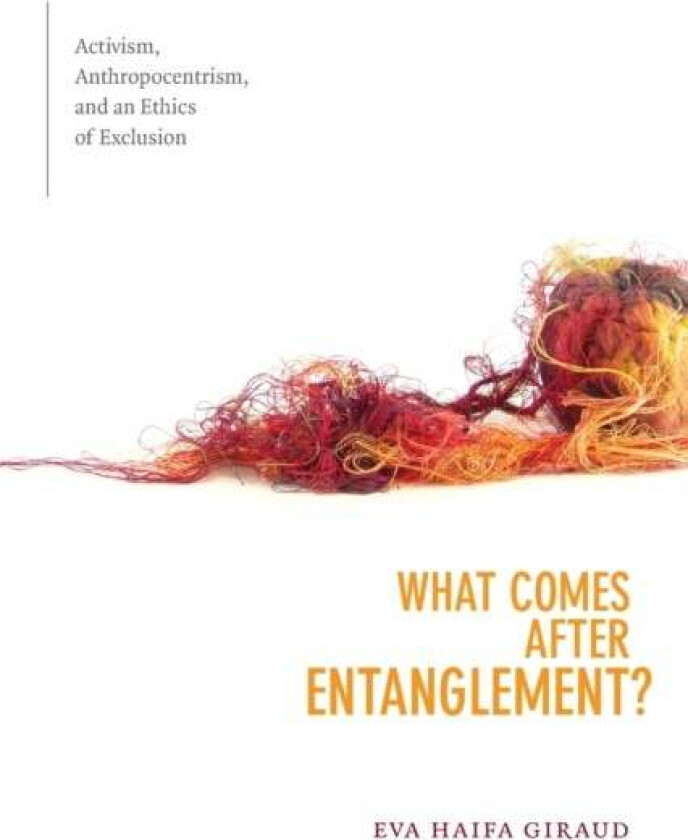What Comes after Entanglement? av Eva Haifa Giraud