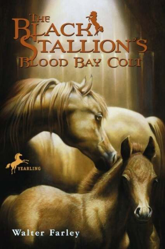 The Black Stallion's Blood Bay Colt av Walter Farley
