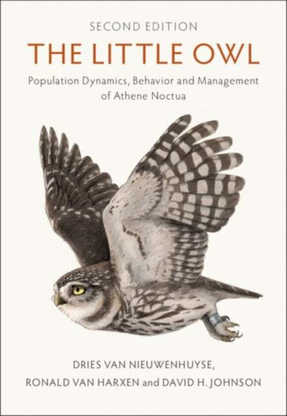 The Little Owl av Dries (EHSAL Management School Brussels Belgium) Van Nieuwenhuyse, Ronald (Dutch Little Owl Working Group (STONE)) van Harxen, David