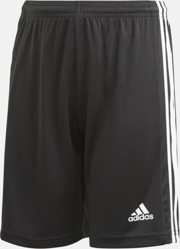 Bilde av adidas Squadra 21 Short, fotballshorts, junior BLACK/WHITE