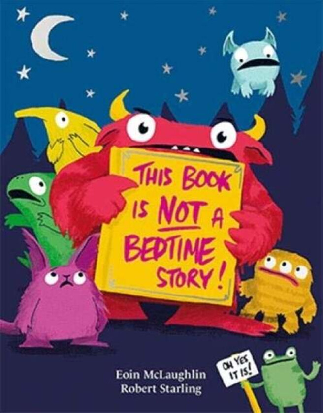 This Book is Not a Bedtime Story av Eoin McLaughlin