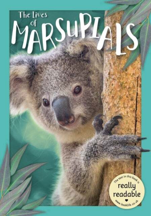 The Lives of Marsupials av Madeline Tyler