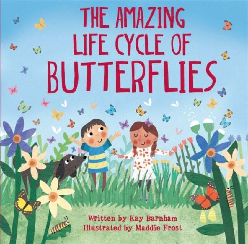 Look and Wonder: The Amazing Life Cycle of Butterflies av Kay Barnham