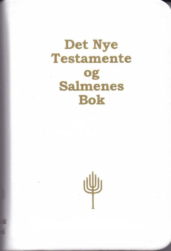 Det nye testamente og Salmenes bok