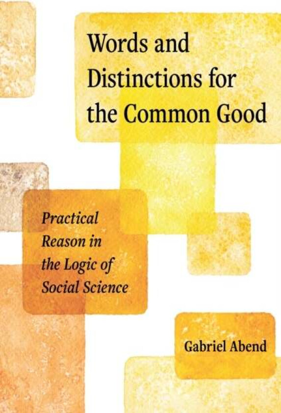 Words and Distinctions for the Common Good av Gabriel Abend