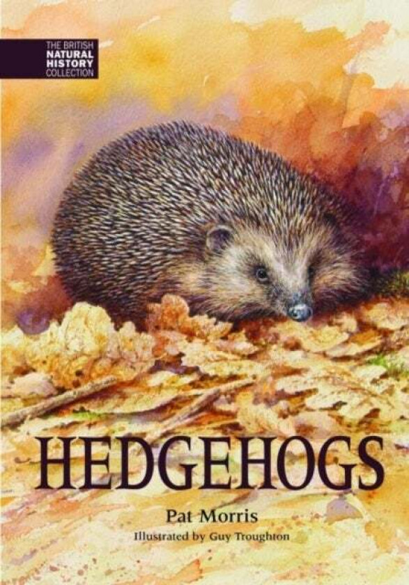 Hedgehogs av Pat Morris