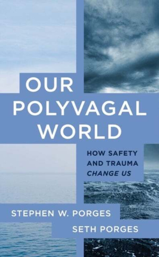 Our Polyvagal World av Stephen W. (University of North Carolina) Porges, Seth Porges