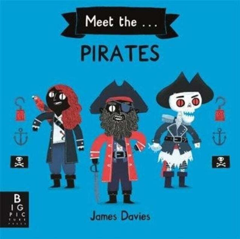 Meet the Pirates av James Davies