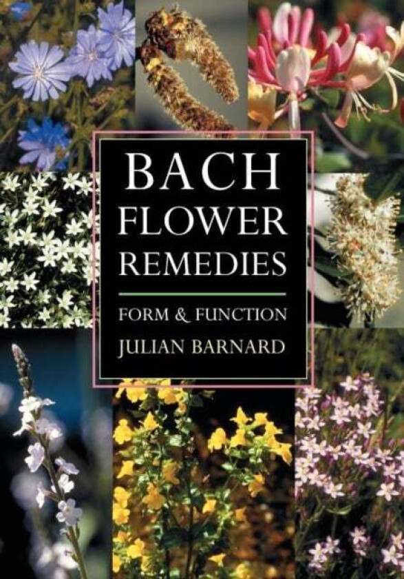 Bach Flower Remedies av Julian Barnard