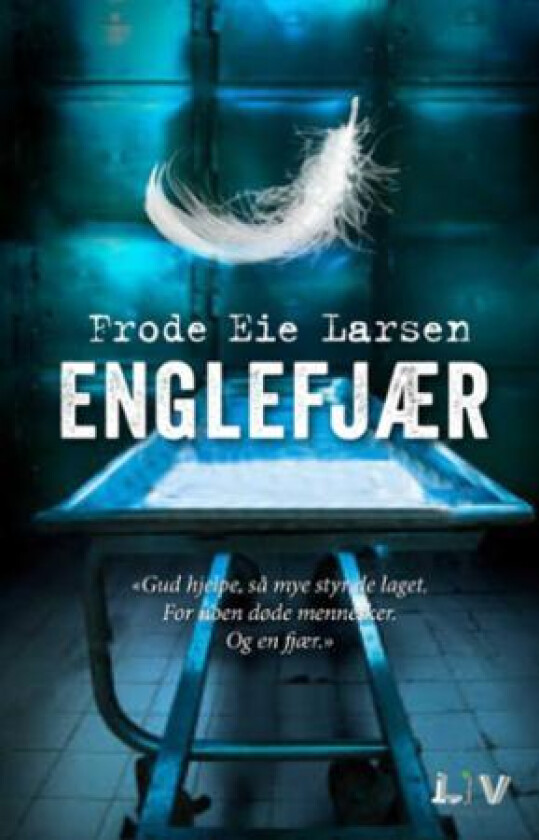 Englefjær av Frode Eie Larsen