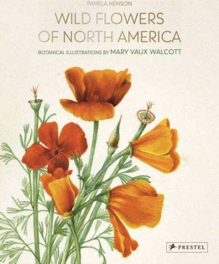 Wild Flowers of North America