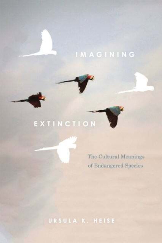 Imagining Extinction av Ursula K. Heise