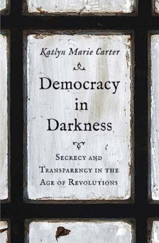 Democracy in Darkness av Katlyn Marie Carter