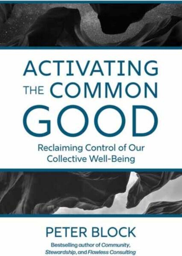 Activating The Common Good Av Peter Block