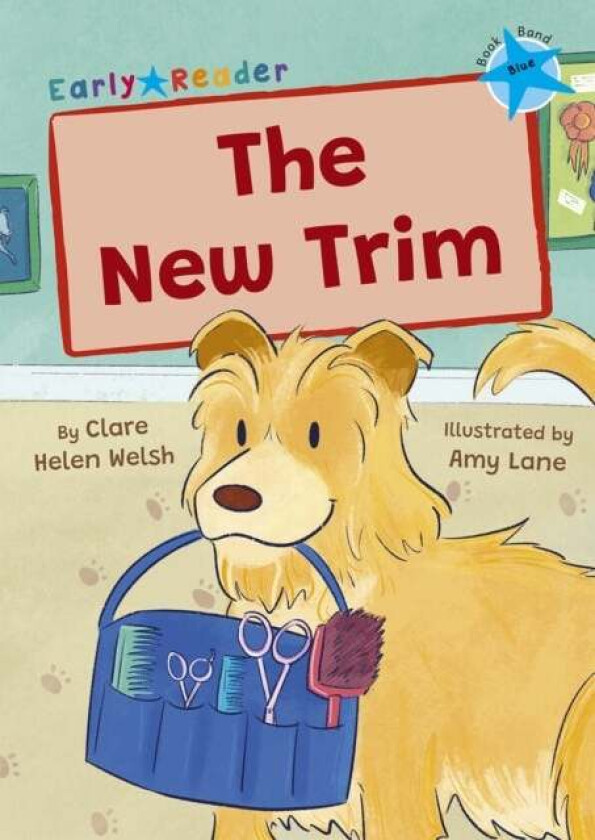 The New Trim av Clare Helen Welsh