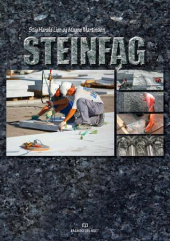 Steinfag av Stig Harald Lien, Magne Martinsen