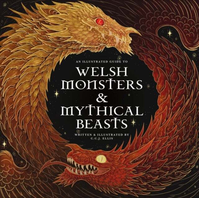 Welsh Monsters & Mythical Beasts av C.C.J. Ellis