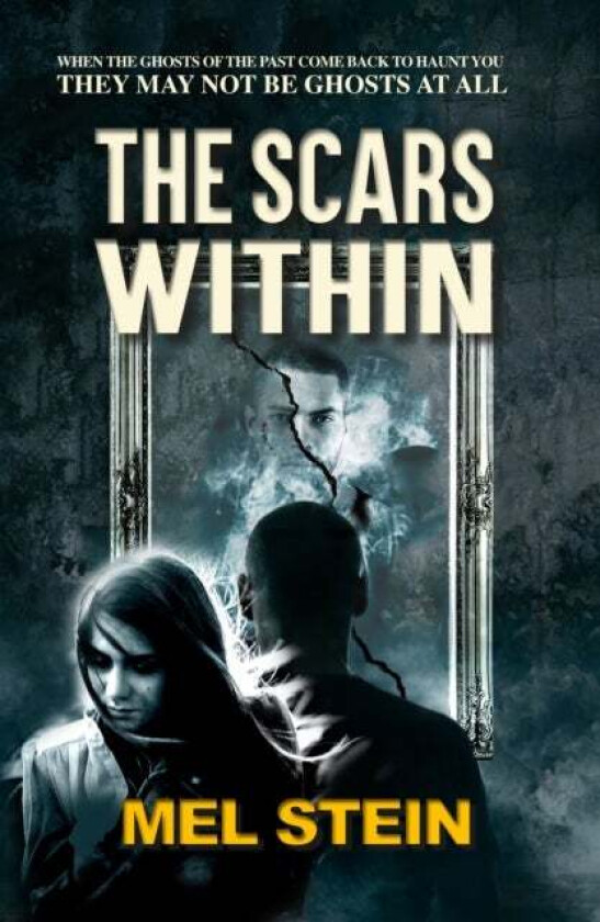 The Scars Within av Mel Stein