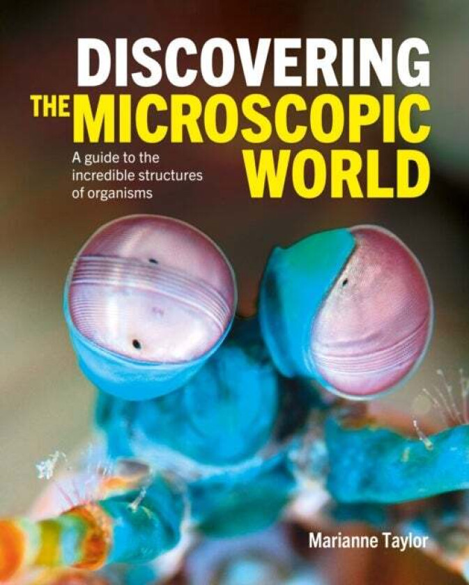 Discovering the Microscopic World av Marianne Taylor