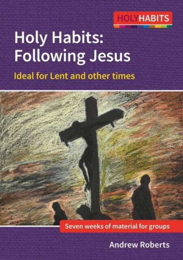 Holy Habits: Following Jesus av Andrew Roberts