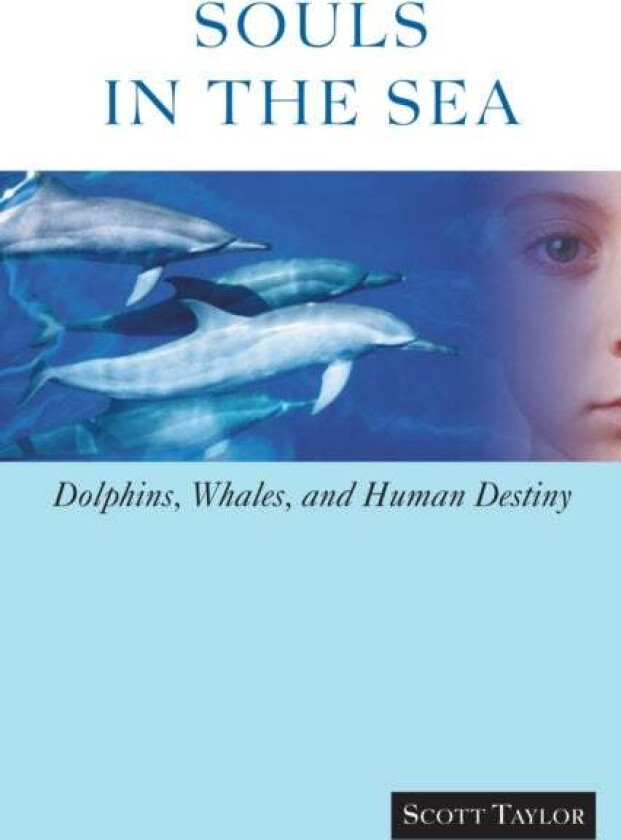 Souls In The Sea Av Scott Taylor