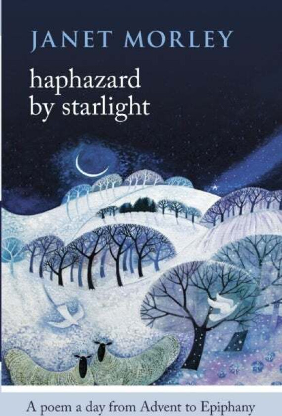 Haphazard by Starlight av Janet Morley