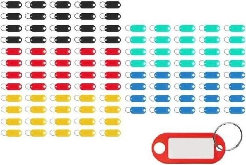 100-Pack - Nyckelbrickor / Nyckelring - Märk dina nycklar