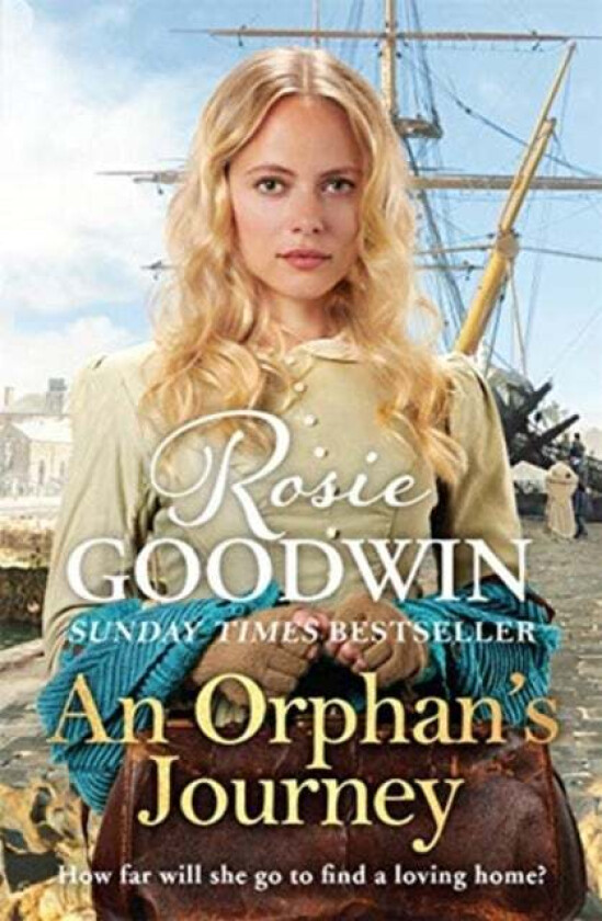 An Orphan's Journey av Rosie Goodwin