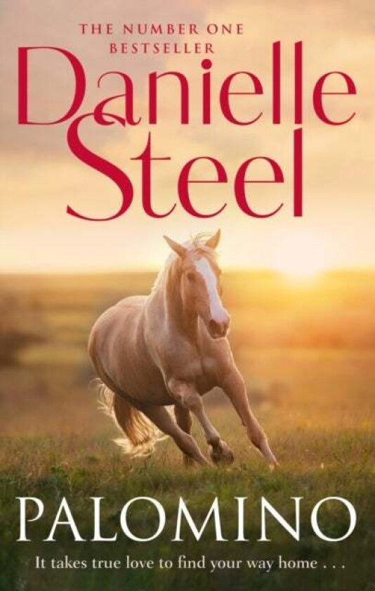 Palomino av Danielle Steel