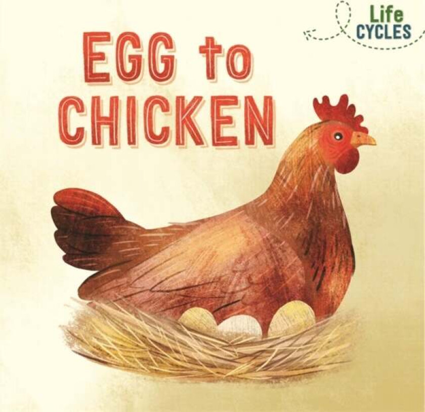 Life Cycles: Egg to Chicken av Rachel Tonkin