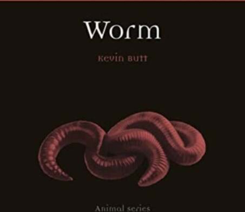 Worm av Kevin Butt