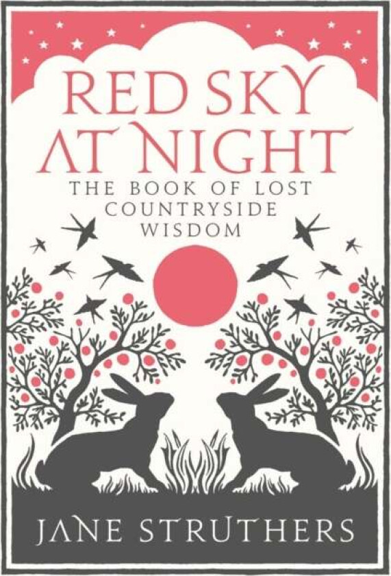 Red Sky at Night av Jane Struthers