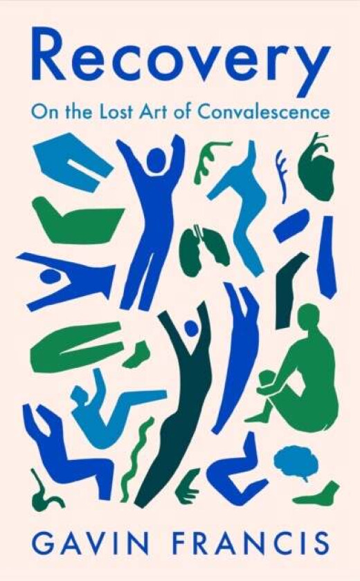 Recovery av Gavin Francis