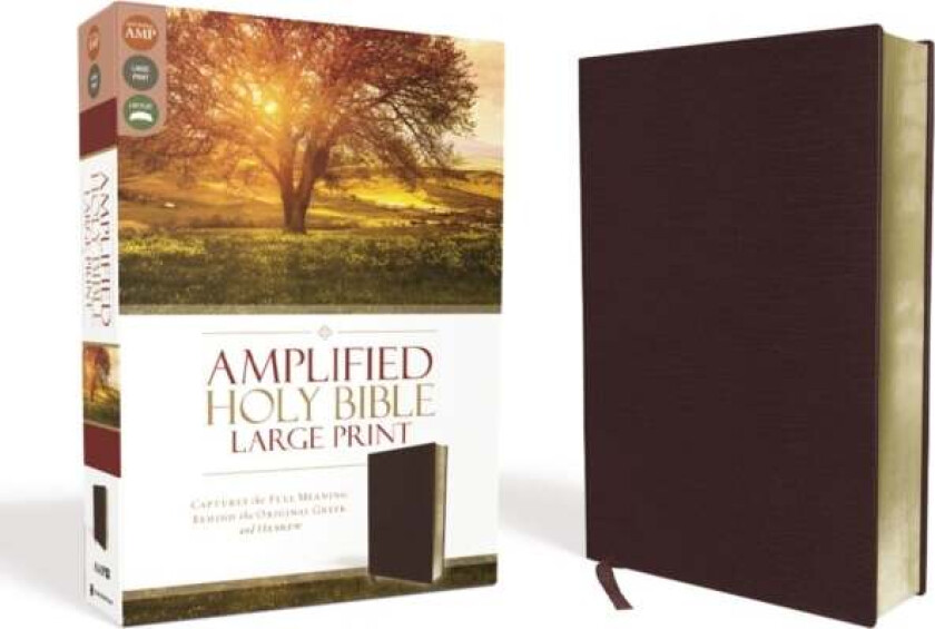 Amplified Holy Bible, Large Print, Bonded Leather, Burgundy