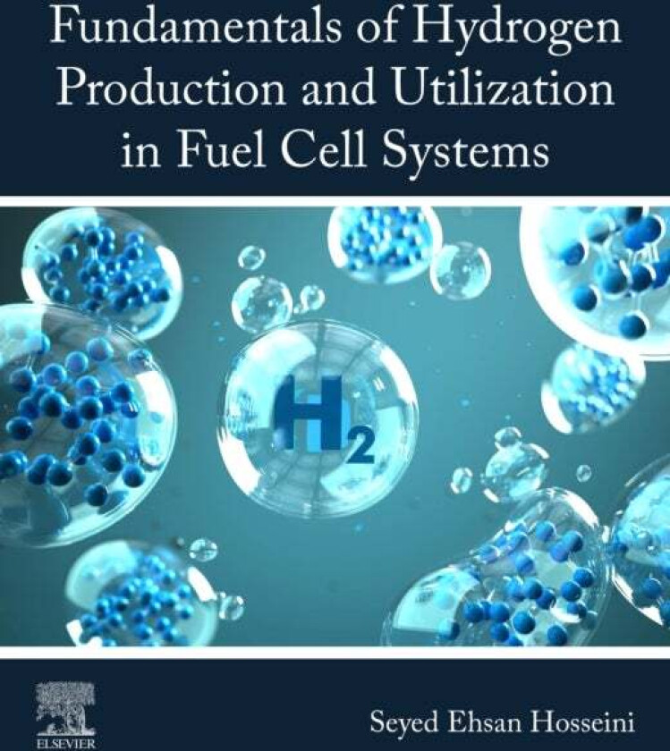 Fundamentals of Hydrogen Production and Utilization in Fuel Cell Systems av Seyed Ehsan (Assistant Professor Department of Mechanical Engineering Arka