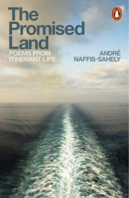 The Promised Land av Andre Naffis-Sahely