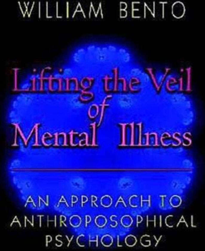 Lifting the Veil of Mental Illness av W. Bento