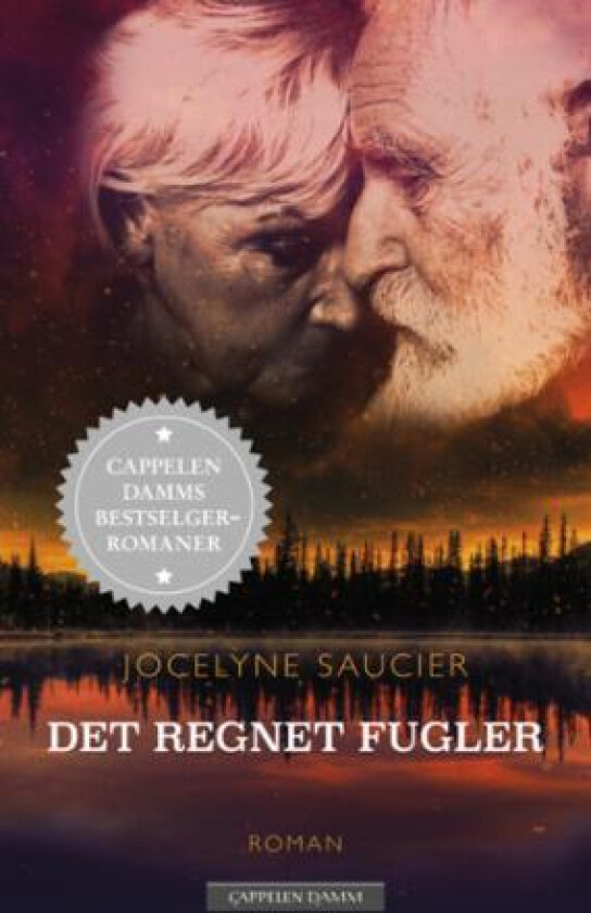 Det regnet fugler av Jocelyne Saucier