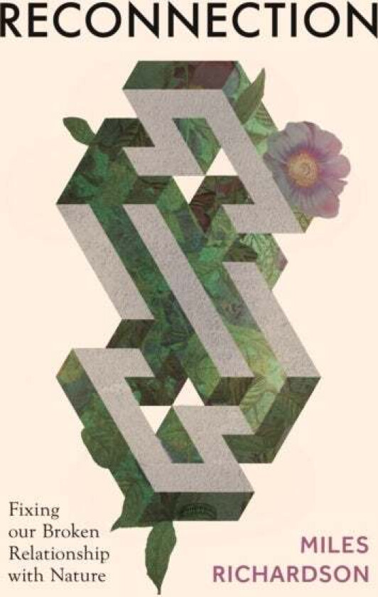 Reconnection Av Miles Richardson