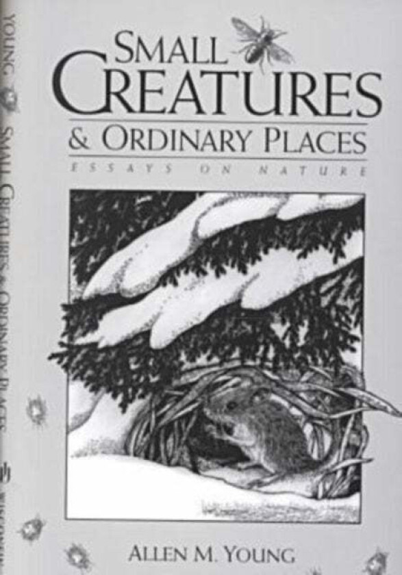 Small Creatures and Ordinary Places av Allen M. Young