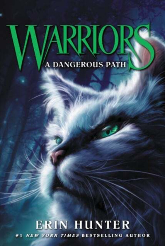 Warriors #5: A Dangerous Path Av Erin Hunter
