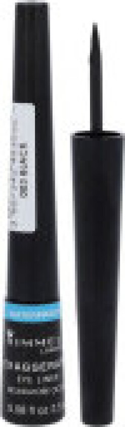 Exaggerate Waterproof Liquid Eye Liner #001 Black 2