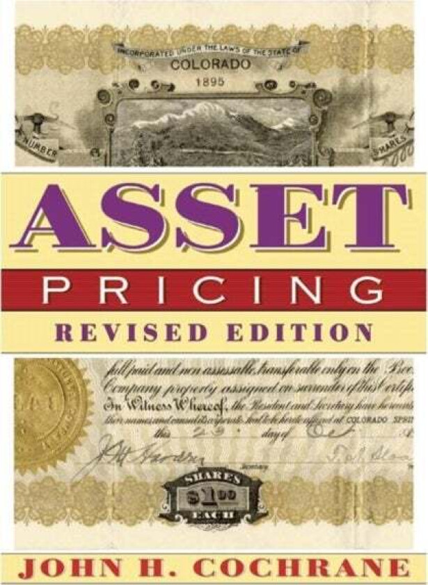 Asset Pricing av John H. Cochrane