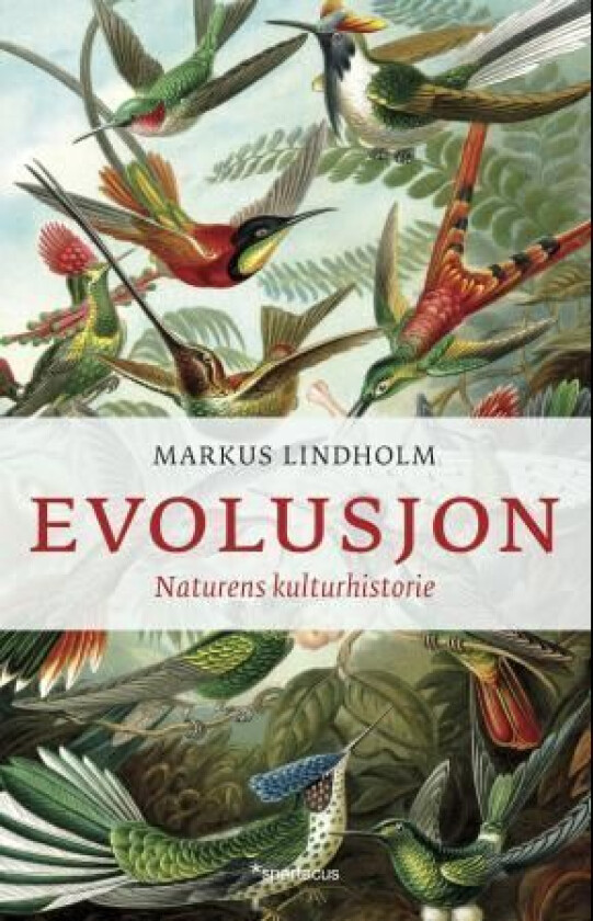 Evolusjon av Markus Lindholm