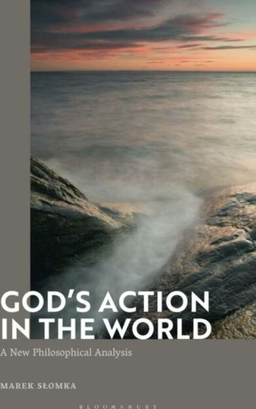 God's Action in the World av Dr Marek Slomka