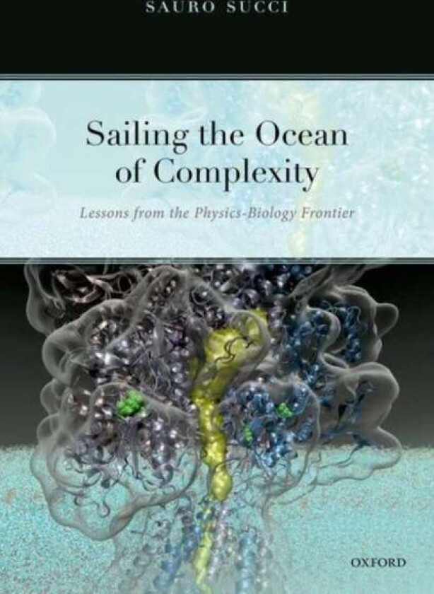 Sailing the Ocean of Complexity av Sauro (Senior Research Executive and Princi Succi